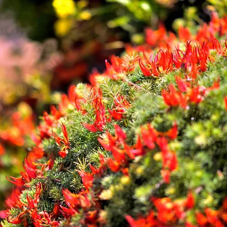 Villa Apollo 63 Paphos