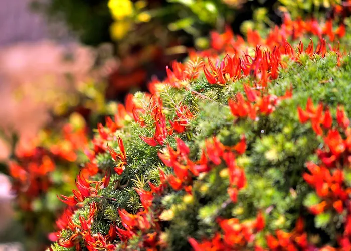 Vila Apollo 63 Paphos